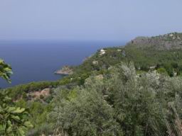 Resize of P1010145.JPG